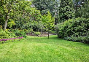 Optimiser l'expérience du jardin à Bazeilles-sur-Othain